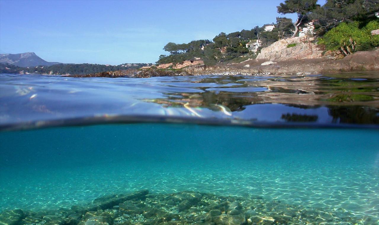 Magnifique Petit Cocon Bord De Mer Le Pradet Zewnętrze zdjęcie