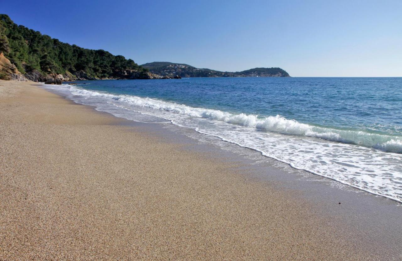 Magnifique Petit Cocon Bord De Mer Le Pradet Zewnętrze zdjęcie